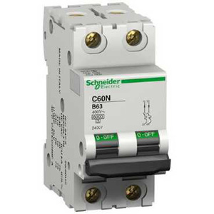 SCHNEIDER ELECTRIC INT TERM C60 N 2X6A CURVA B