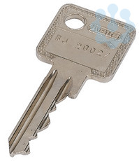 Ключ запасной для полуцилиндрических вставок KEY-E10/30-GS EATON 138576